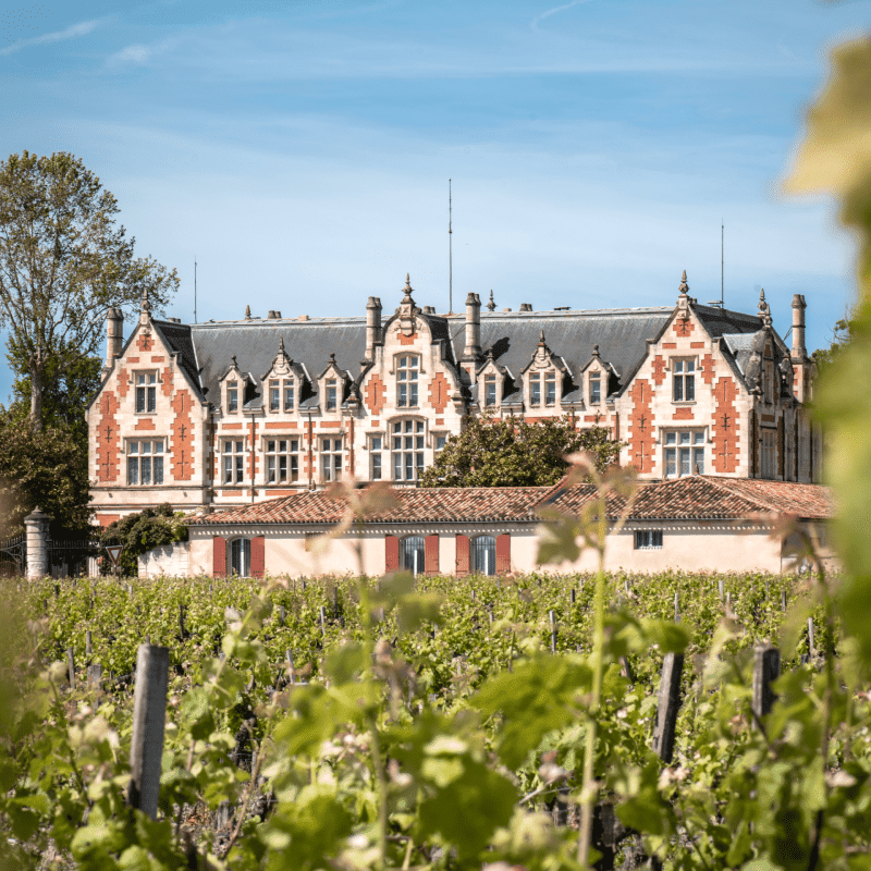 Château Cantenac Brown 2023 – Image 4