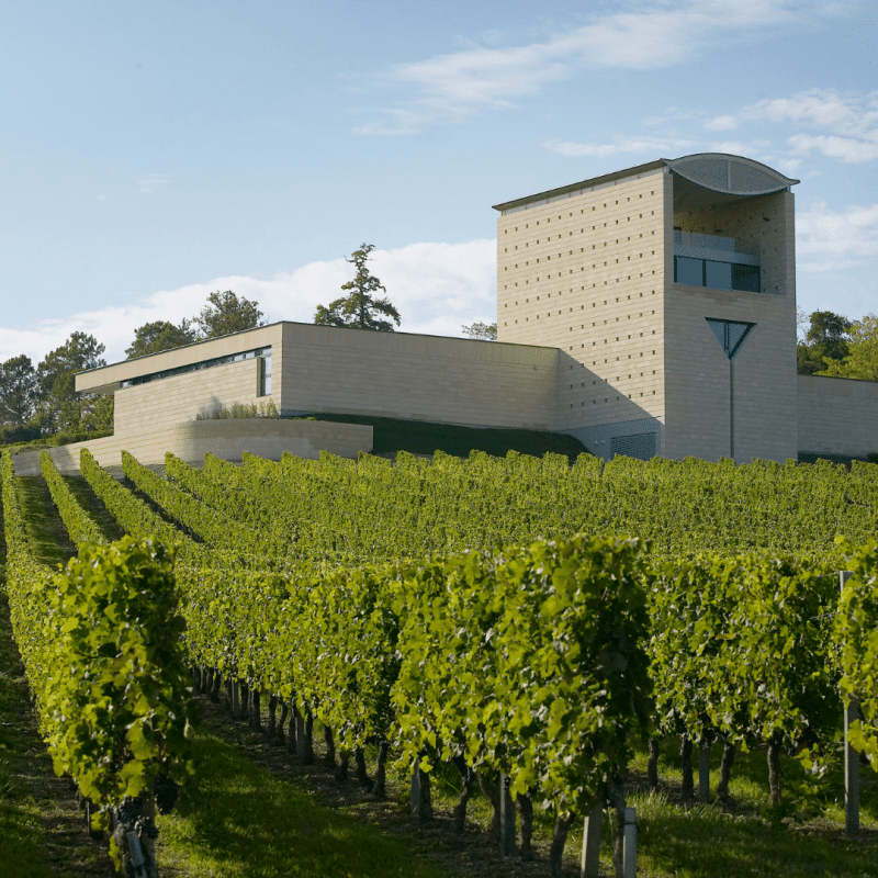 Château Faugères 2023 – Image 3
