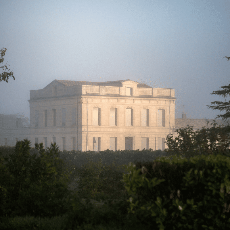Château Gloria 2021 – Image 3