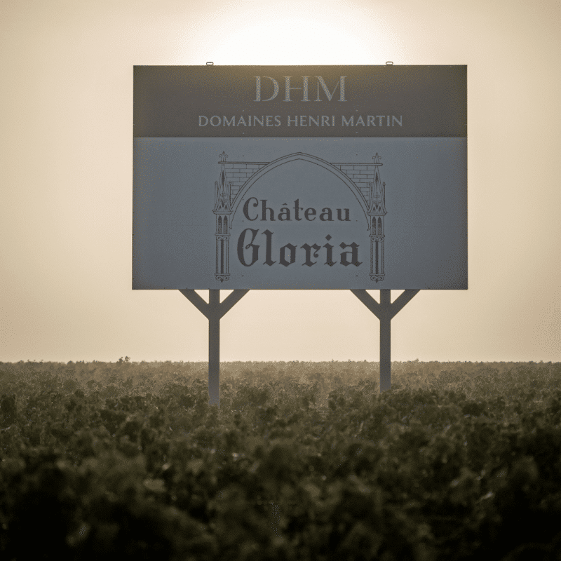 Château Gloria 2021 – Image 4
