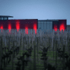 Château La Dominique 2021 – Image 2