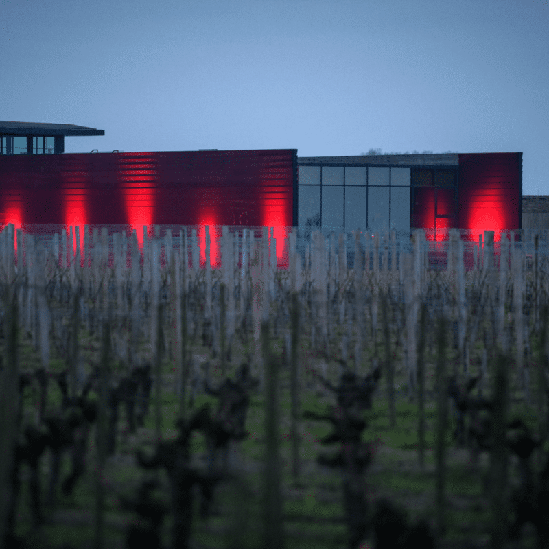 Château La Dominique 2021 – Image 2