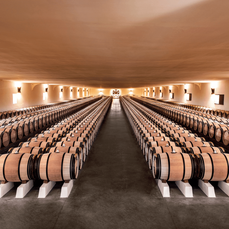 Château Mouton Rothschild 2015 – Image 3
