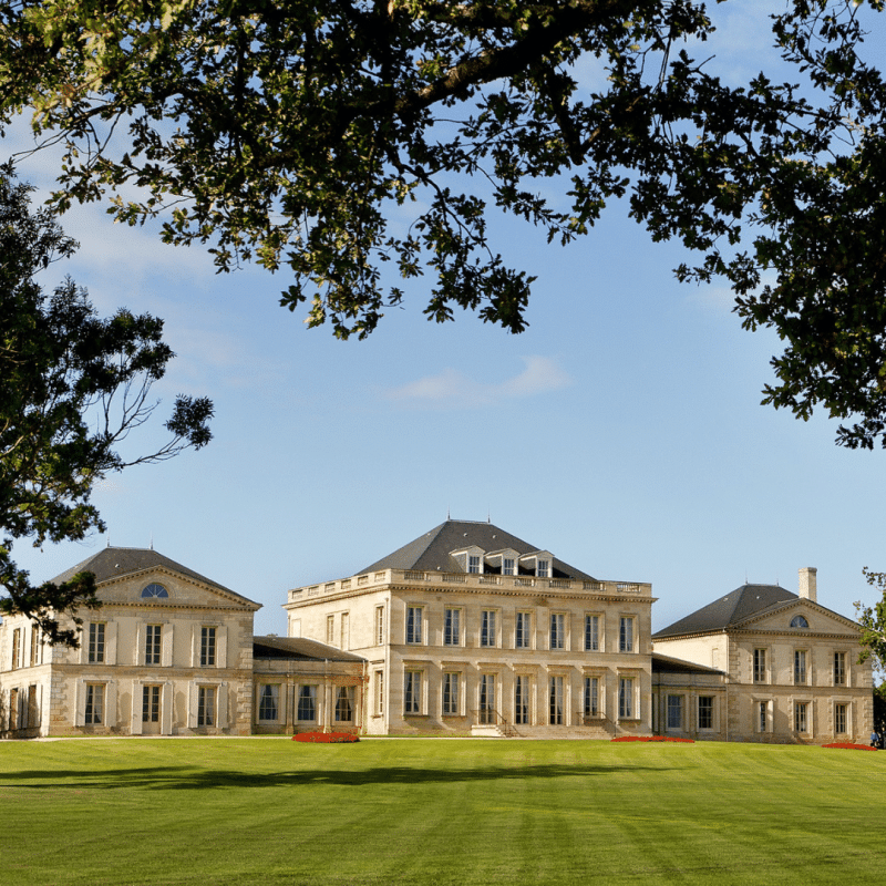 Château Phélan Ségur 2021 – Image 2