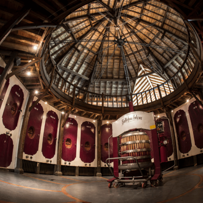 Château Bellefont-Belcier 2020 – Image 2