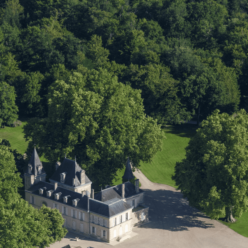 Château Cantemerle 2024 – Image 2