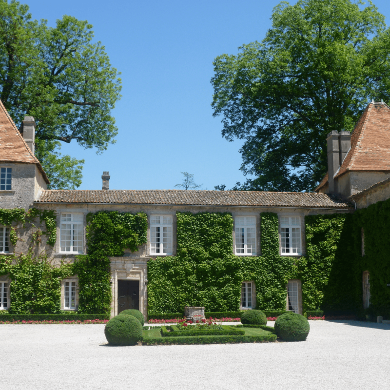 Château Carbonnieux blanc 2023 – Image 2