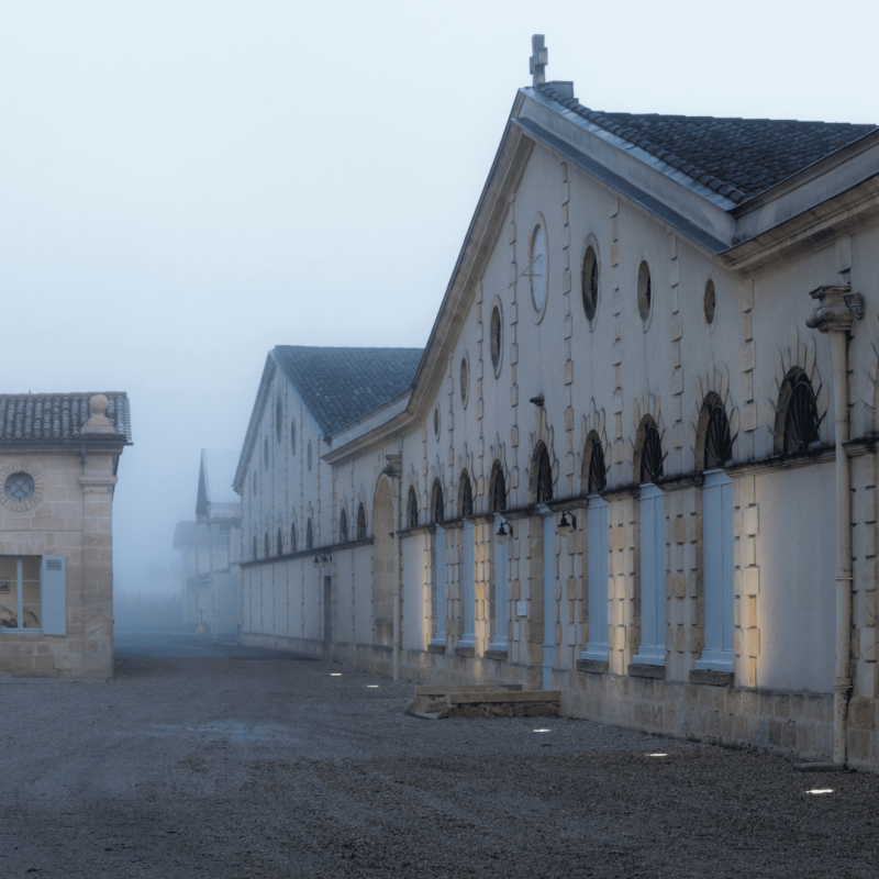 Château Cantemerle 2024 – Image 3