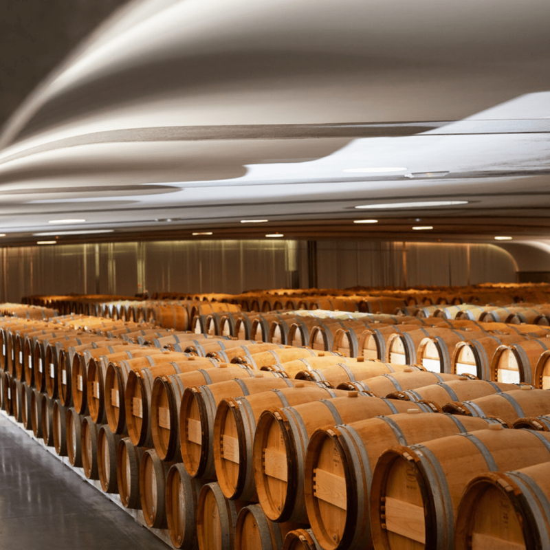 Château Pichon Baron 2024 – Image 4