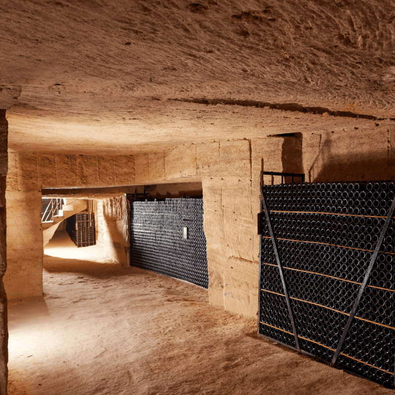 Couvent des Jacobins 2020 – Image 3