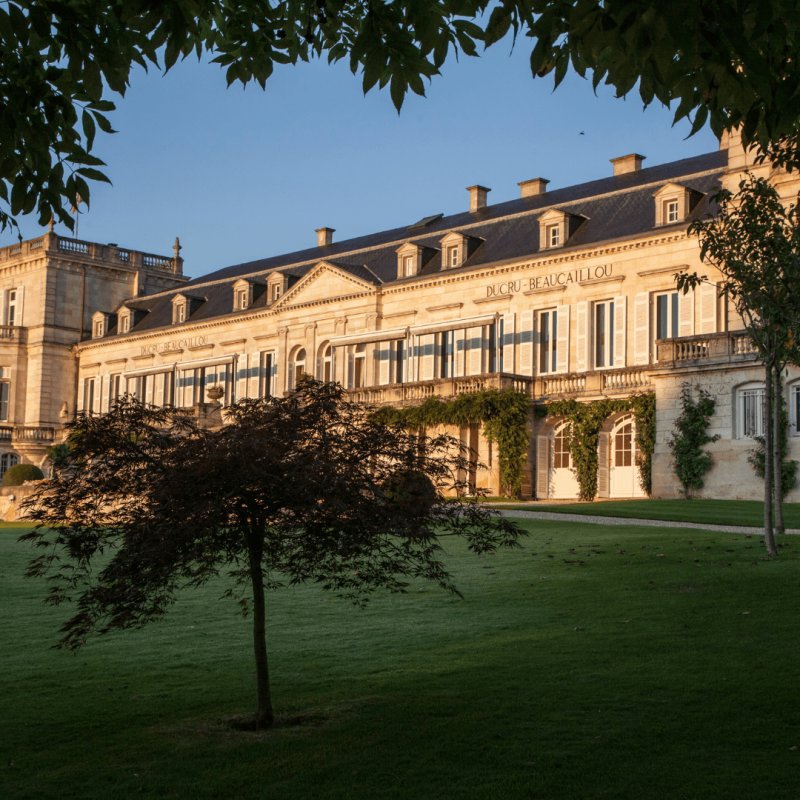 Château Ducru-Beaucaillou 1989 – Image 2