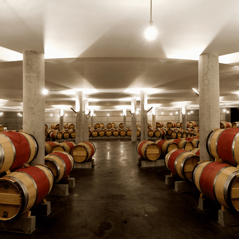 Château L'Evangile 2020 – Image 4