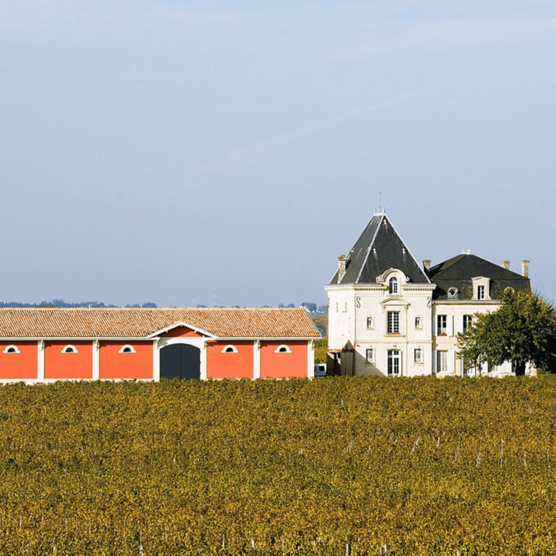 Château L'Evangile 2020 – Image 2