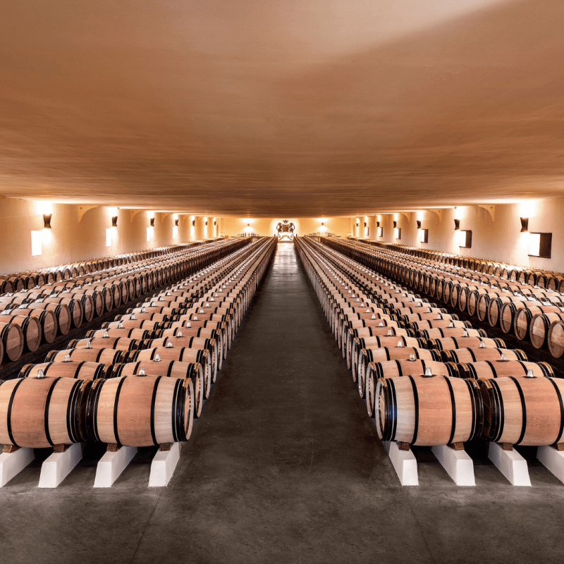 Le Petit Mouton de Mouton Rothschild 2024 – Image 3