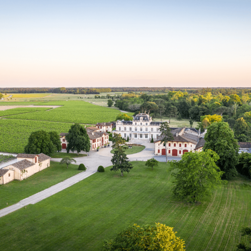 Château Giscours 2019 – Image 2
