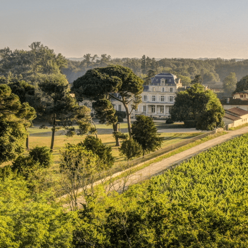 Château Giscours 2019 – Image 4