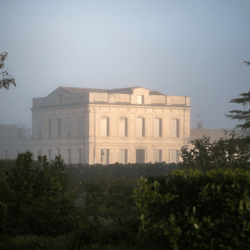 Château Gloria 2024 – Image 3
