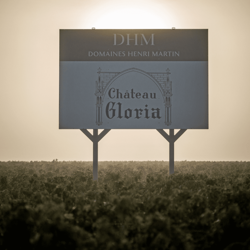Château Gloria 2024 – Image 4
