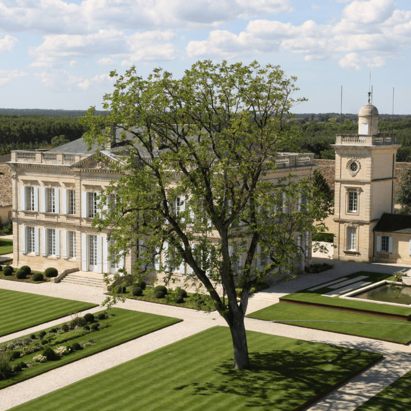 Sarget de Gruaud Larose 2024 – Image 2