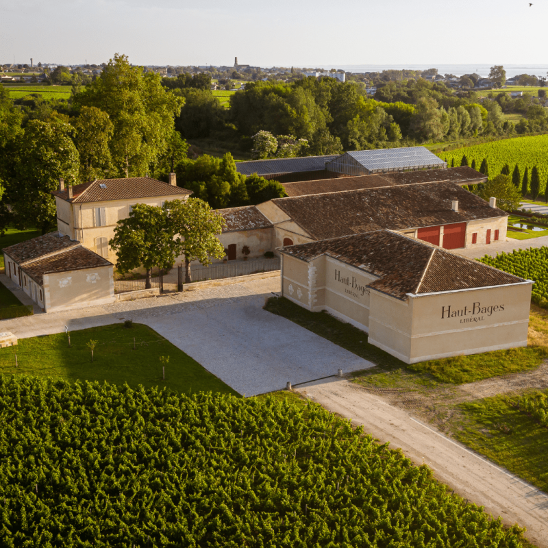 Château Haut-Bages Libéral 2017 – Image 2