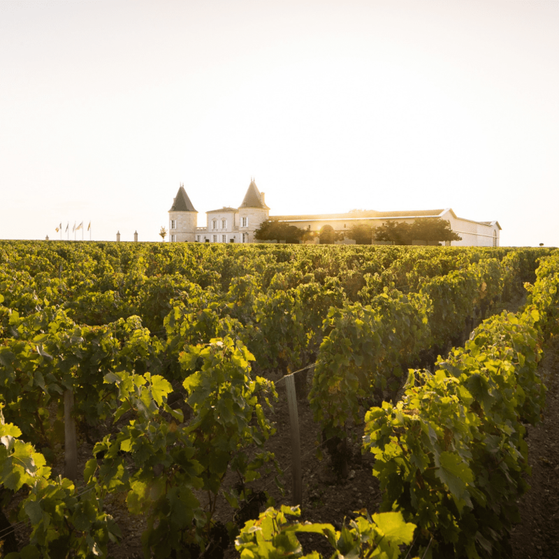 Château Lilian Ladouys 2024 – Image 2
