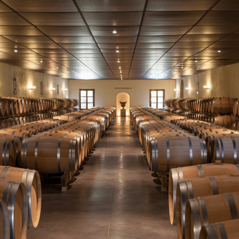 Château Lynch-Moussas 2017 – Image 3
