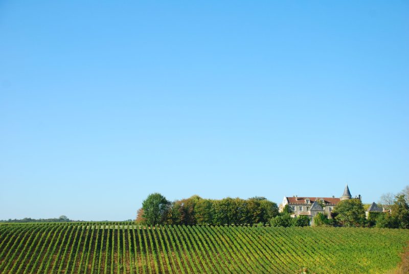 Château Mont-Pérat Blanc 2015 – Image 4