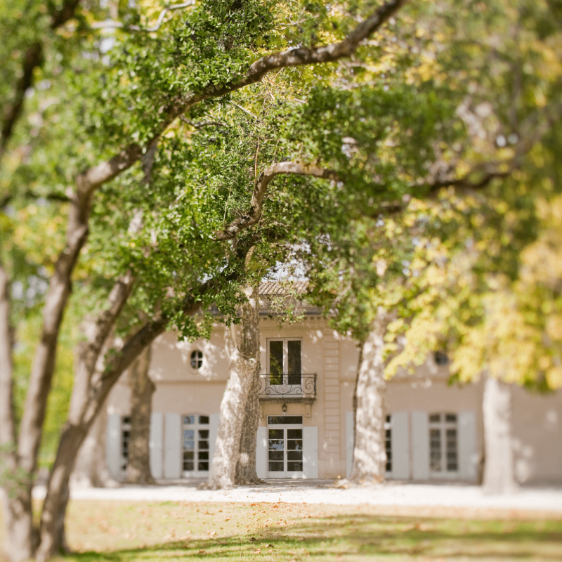 Château Marquis de Terme 2024 – Image 2