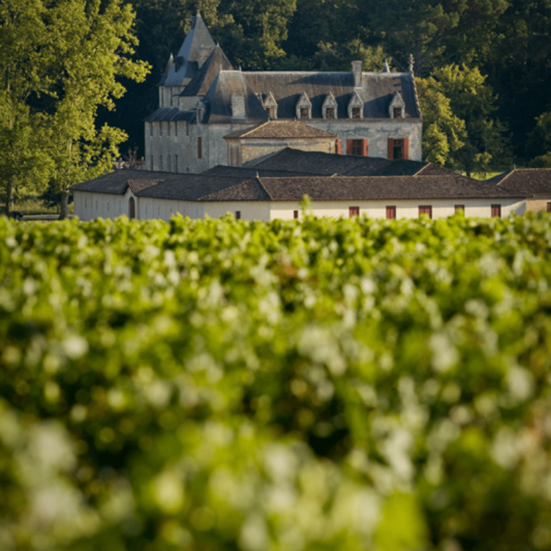 Château Olivier Rouge 2020 – Image 3