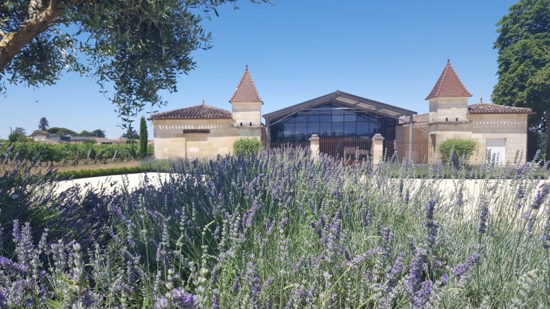 Château Le Gay 2020 – Image 3