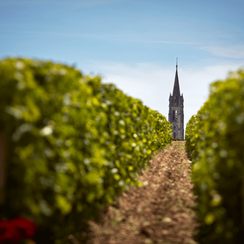 Château Rouget 2020 – Image 2