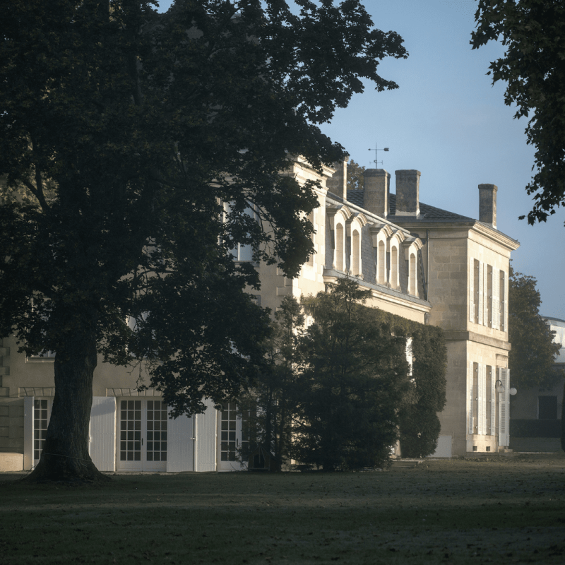 Château Saint-Pierre 2020 – Image 4