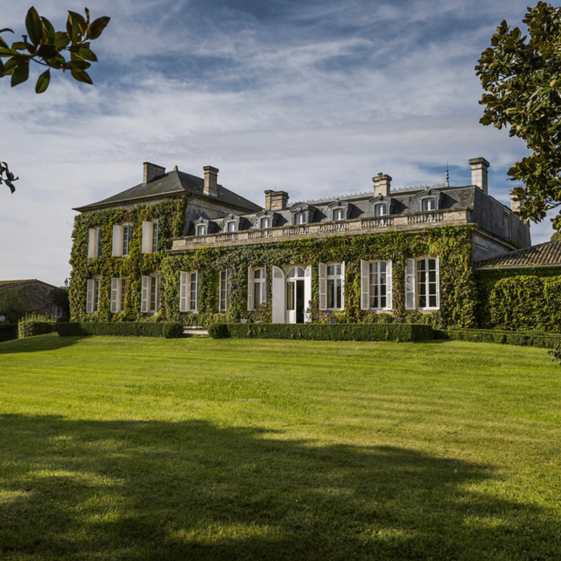 Château Talbot 2024 – Image 2