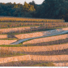 Château Tour Saint-Christophe 2021 – Image 3