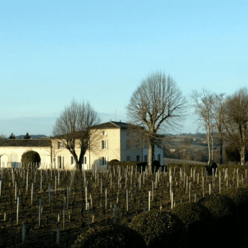 Château Valandraud 2020 – Image 2