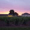 Château Le Gay 2020 – Image 4
