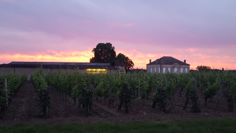 Château Le Gay 2020 – Image 4