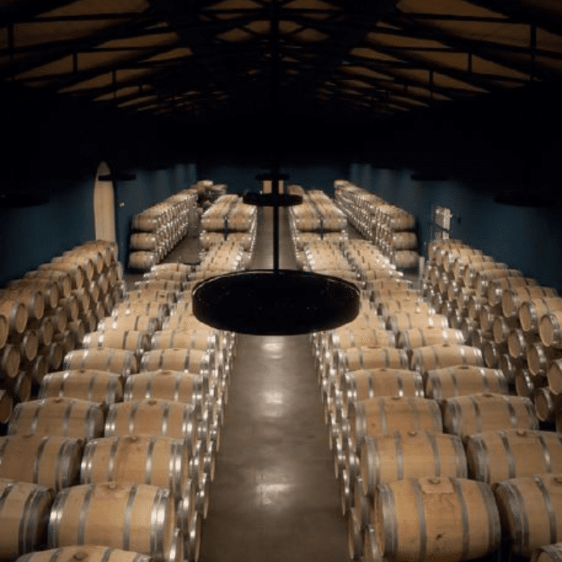 Château Labégorce Margaux 2023 – Image 4