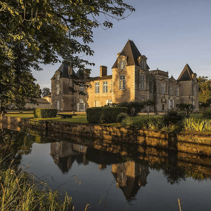 Château D'Issan 2024 – Image 2