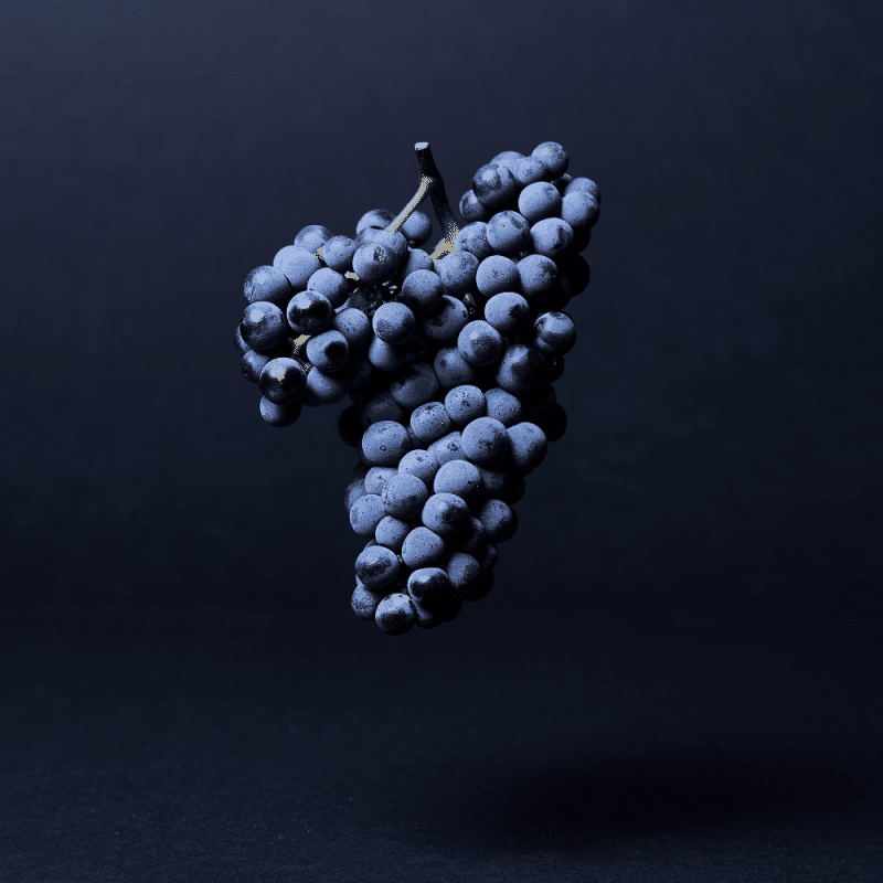 Château Haut-Bailly 2023 – Image 2