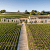 Château Pavie 2024 – Image 2