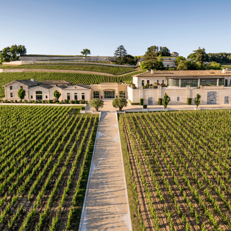 Arômes de Pavie 2023 – Image 2