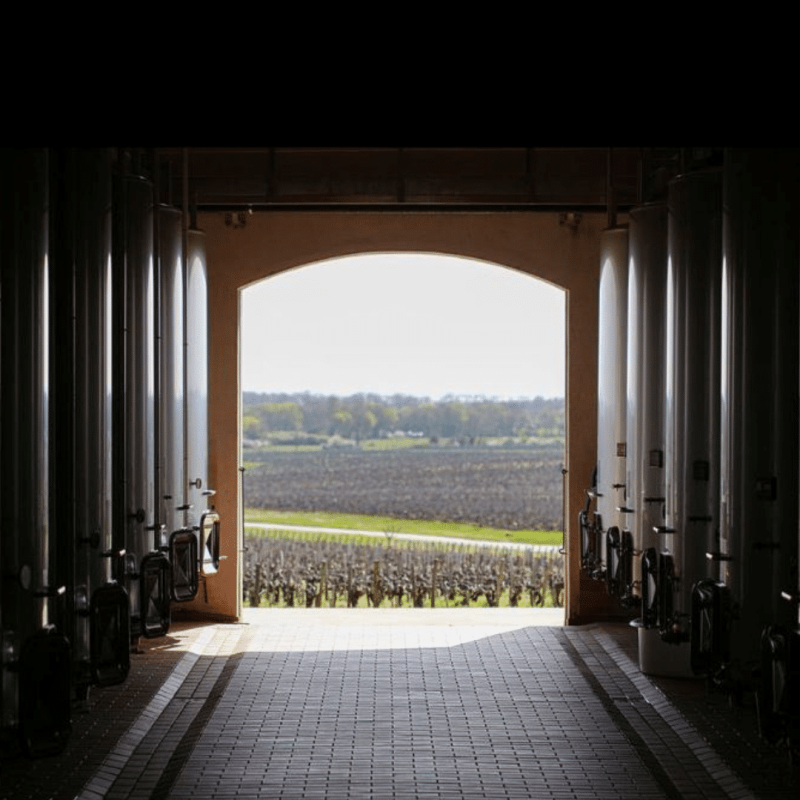 Château Sociando-Mallet 2023 – Image 4