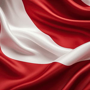 Drapeau : Suisse