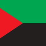 Drapeau : Martinique