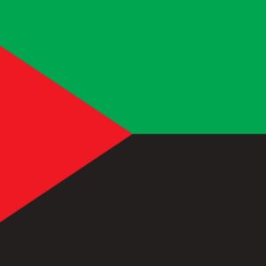 Drapeau : Martinique