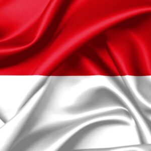 Drapeau : Monaco
