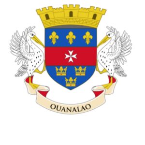 Drapeau : Saint-Barthélemy